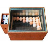 Инкубатор «Блиц 48» (домашний)